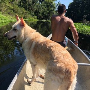 Meet your Posher, Austin